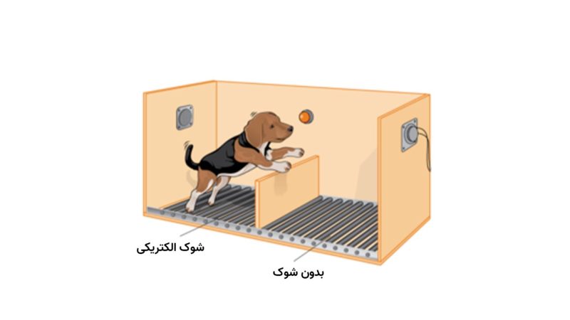 درماندگی آموخته شده سگ